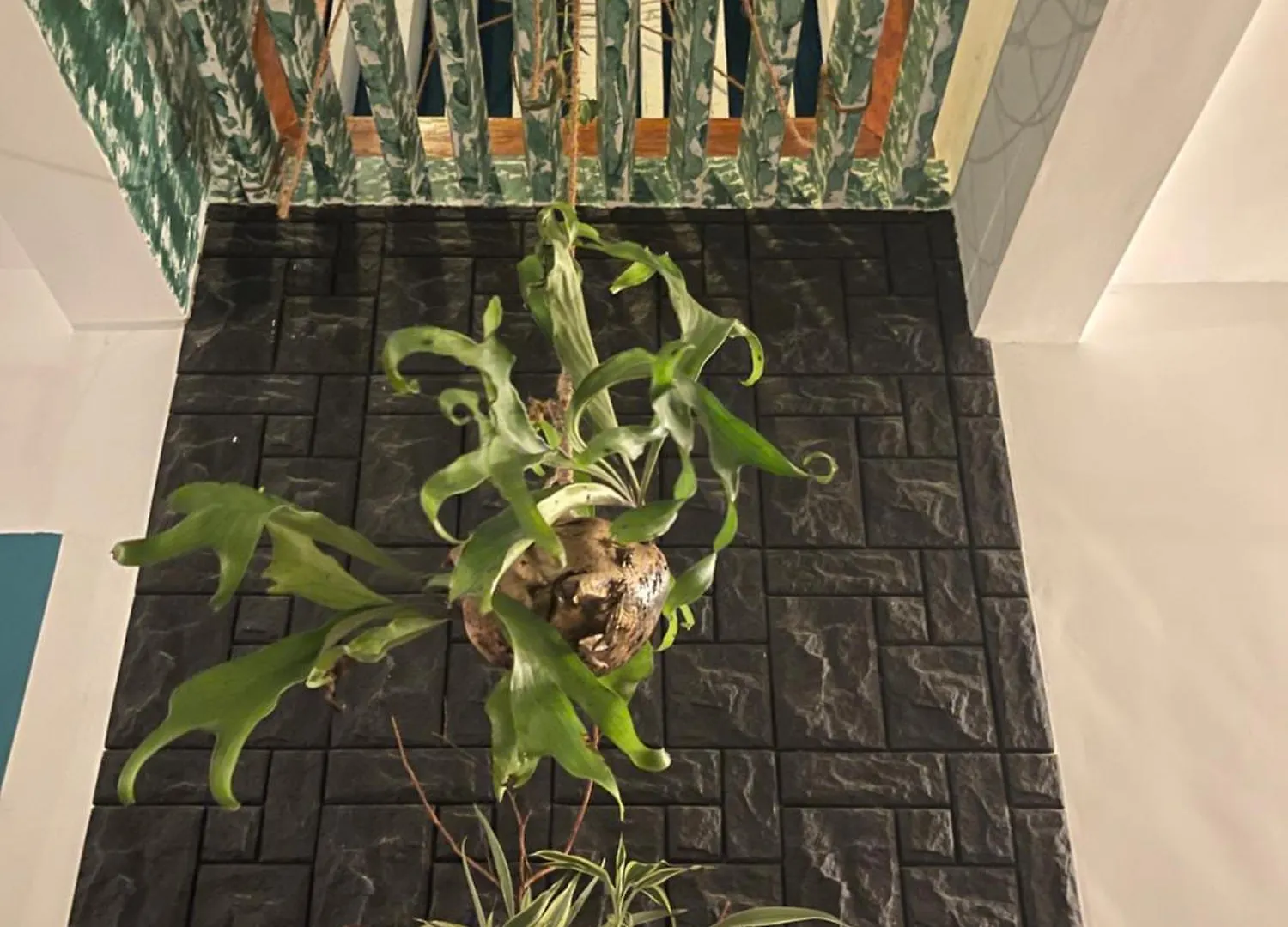The Art House Hotel Minuwangoda Guest house