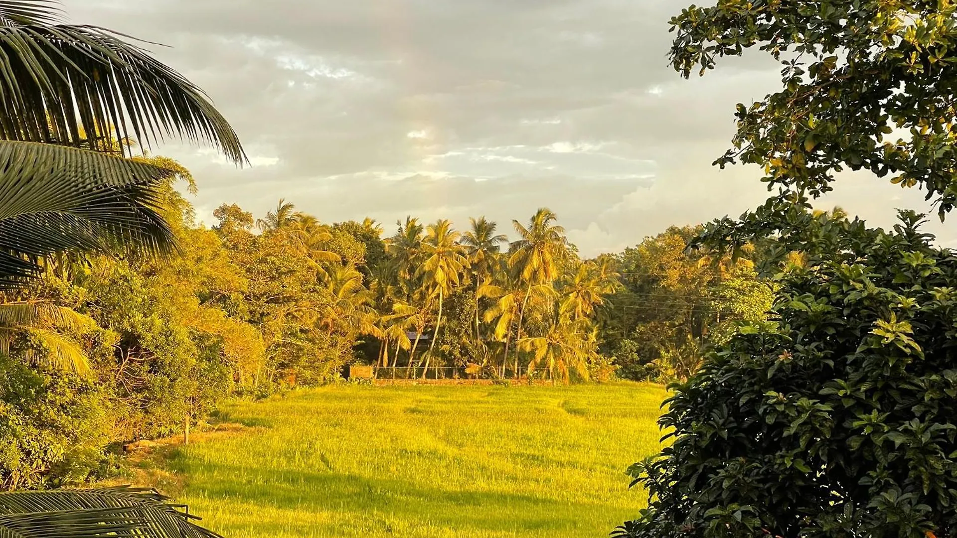 The Art House Hotel Minuwangoda